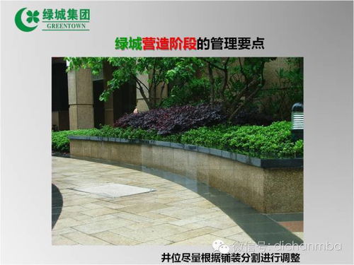 綠城園林景觀工程管理關(guān)鍵點(diǎn) 從設(shè)計(jì)到養(yǎng)護(hù)的全流程實(shí)戰(zhàn)解析
