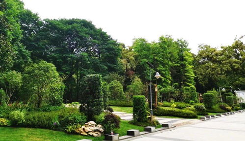喜訊！人文園林榮獲2020年杭州市優(yōu)秀園林綠化工程兩項(xiàng)金獎(jiǎng)